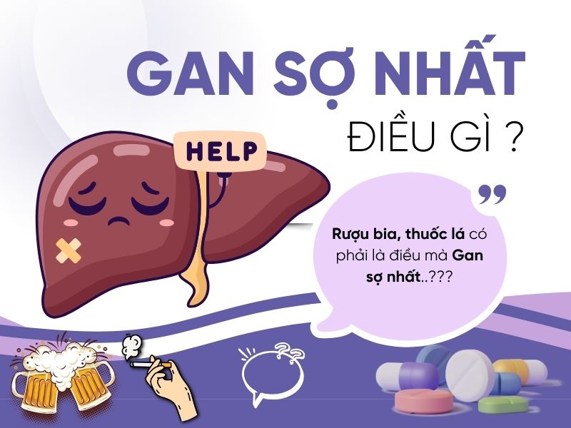Gan Sợ Nhất Điều Gì? Không Phải Rượu Bia, Mà Là Thói Quen Âm Thầm Dễ Gây Ung Thư Này