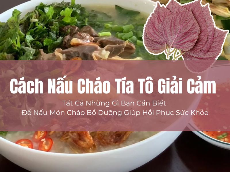 Cách Nấu Cháo Tía Tô Giải Cảm – Tất Cả Những Gì Bạn Cần Biết Để Nấu Món Cháo Bổ Dưỡng Giúp Hồi Phục Sức Khỏe