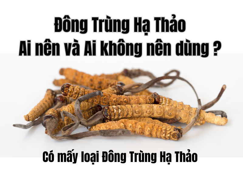 Đông Trùng Hạ Thảo: Những Đối Tượng Nào Nên Dùng Và Không Nên Dùng?