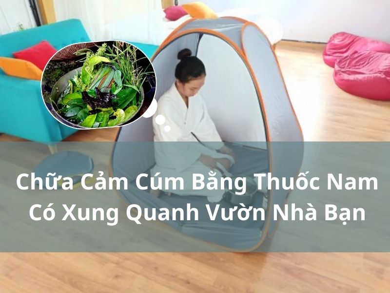 Chữa Cảm Cúm Bằng Thuốc Nam Có Xung Quanh Vườn Nhà Bạn