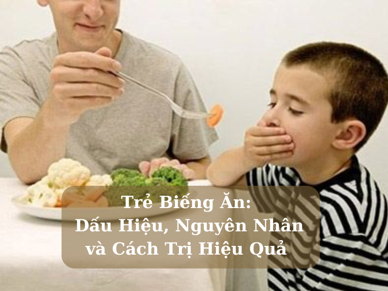 Trẻ Biếng Ăn: Dấu Hiệu, Nguyên Nhân và Cách Trị Hiệu Quả