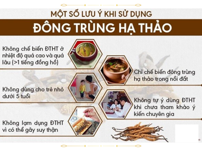 Lưu ý khi sử dụng Đong Trùng Hạ Thảo