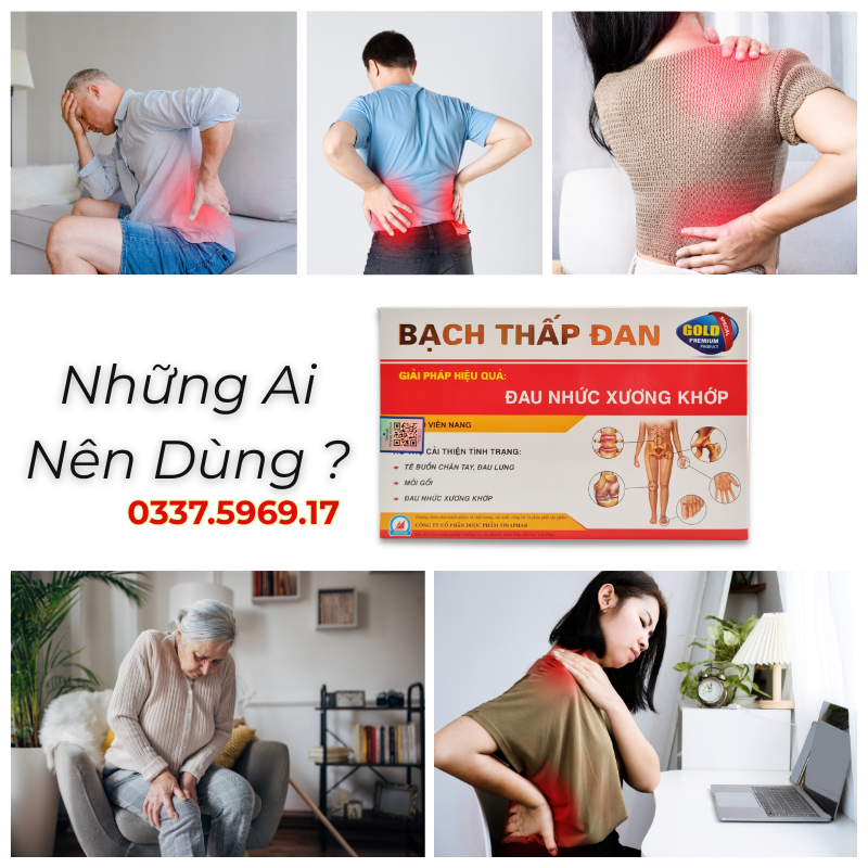 Những ai nên dùng Viên uống Bạch thấp đan