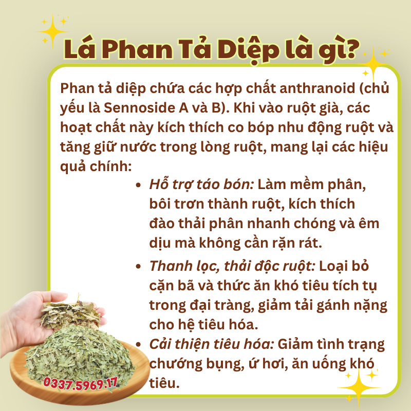 công dụng phan tả diệp