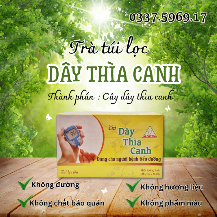 Trà Túi Lọc Dây thìa Canh. Dùng Tốt Cho Người Bệnh Tiểu Đường