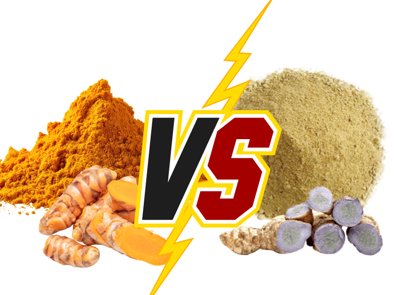 So sánh nghệ đen và nghệ vàng