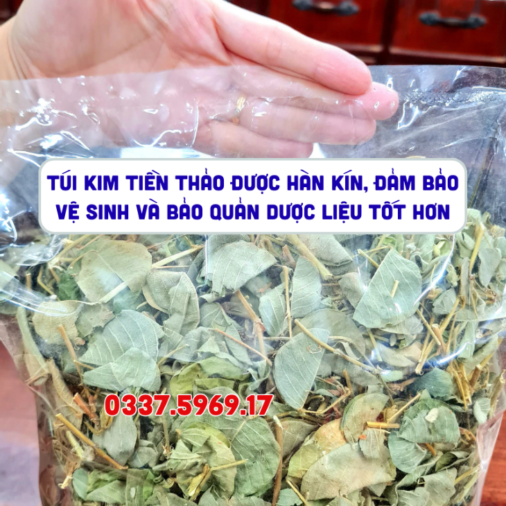 Cây Kim Tiền Thảo hổ trợ sỏi bàng quang
