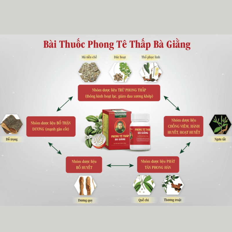 Phong Tê Thấp Bà Giằng giảm đau nhức xương khớp