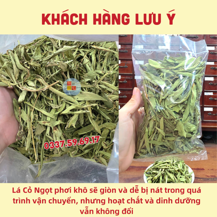 Lá Cỏ Ngọt An Toàn cho người tiểu đường