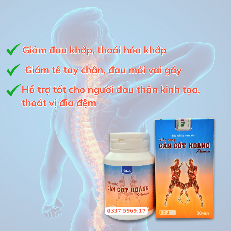 Gân cốt hoàng hổ trợ thoái hóa khớp