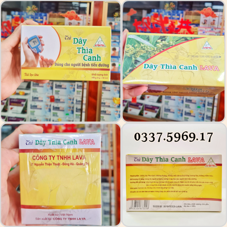 Trà Túi Lọc Dây thìa Canh có bán tại Nhà Thuốc Thái Hòa