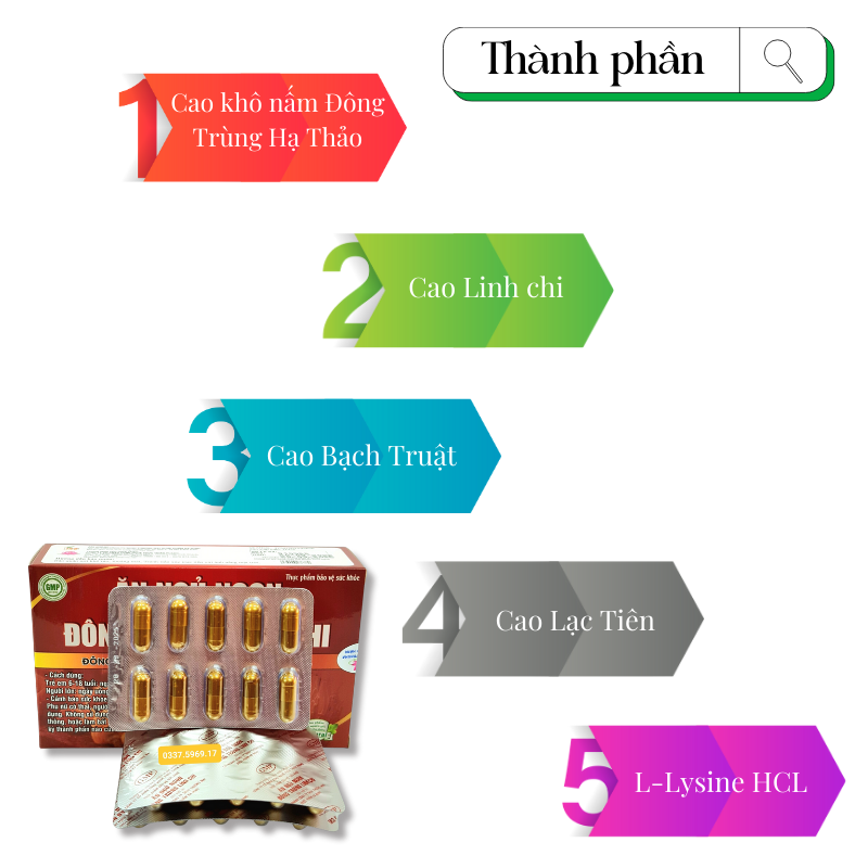 Ăn ngủ ngon Đông trùng linh chi thành phần