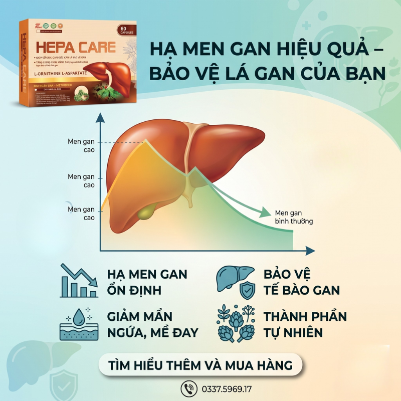 Hạ men gan hiệu quả. Bảo vệ lá gan của bạn