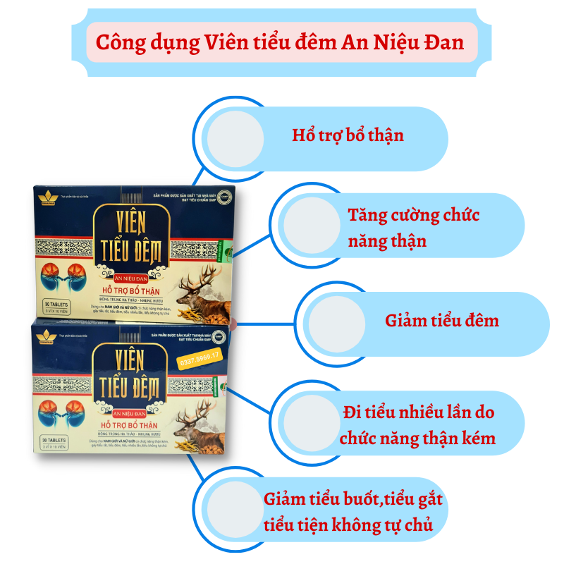 Công dụng Viên tiểu đêm An Niệu Đan