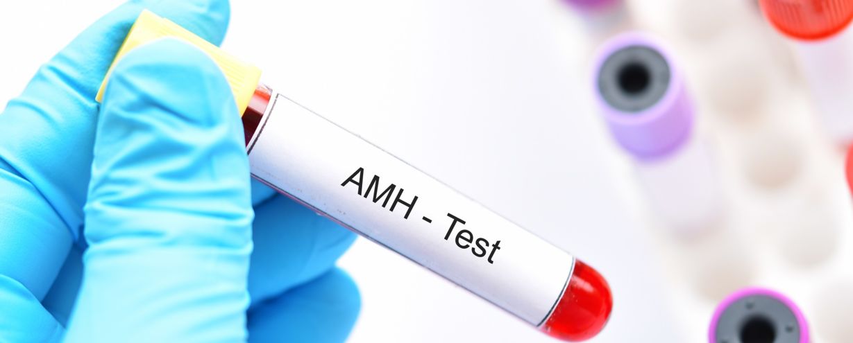 Chỉ số AMH - dự đoán khả năng dự trữ buồng trứng và mang thai của bạn