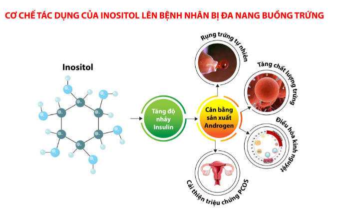 Inositol - phao cứu sinh cho phụ nữ buồng trứng đa nang