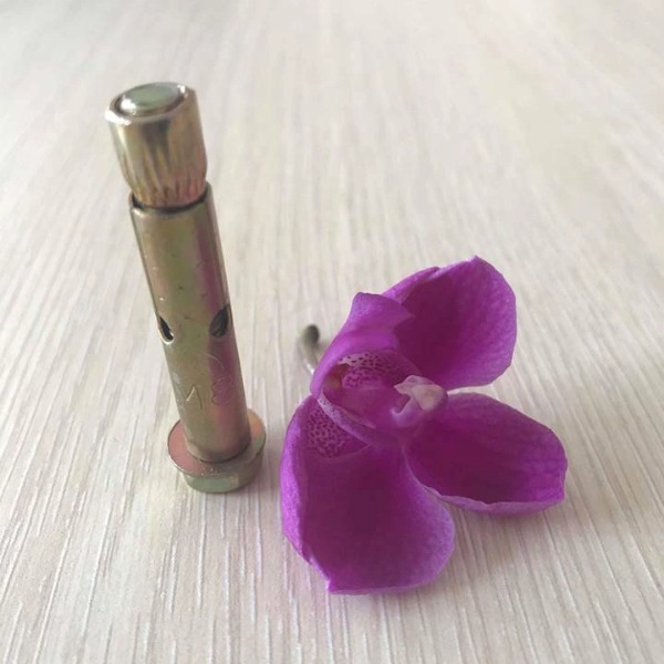 TẮC KÊ GẮN TƯỜNG