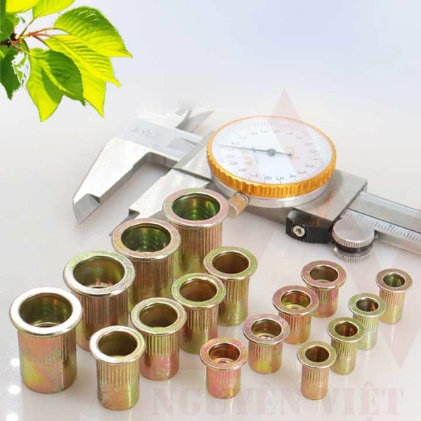 TÁN RÚT - NHẬN BẢN GIÁ SỈ TỪ NGUYÊN VIỆT COMPANY