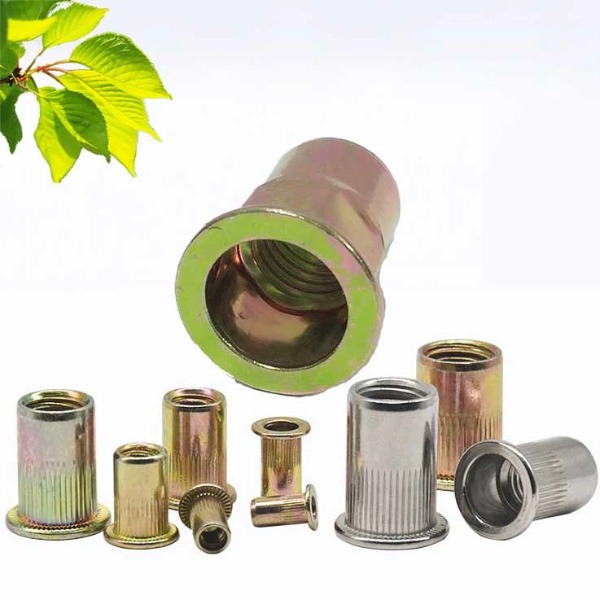 TÁN RÚT - NHẬN BẢN GIÁ SỈ TỪ NGUYÊN VIỆT COMPANY
