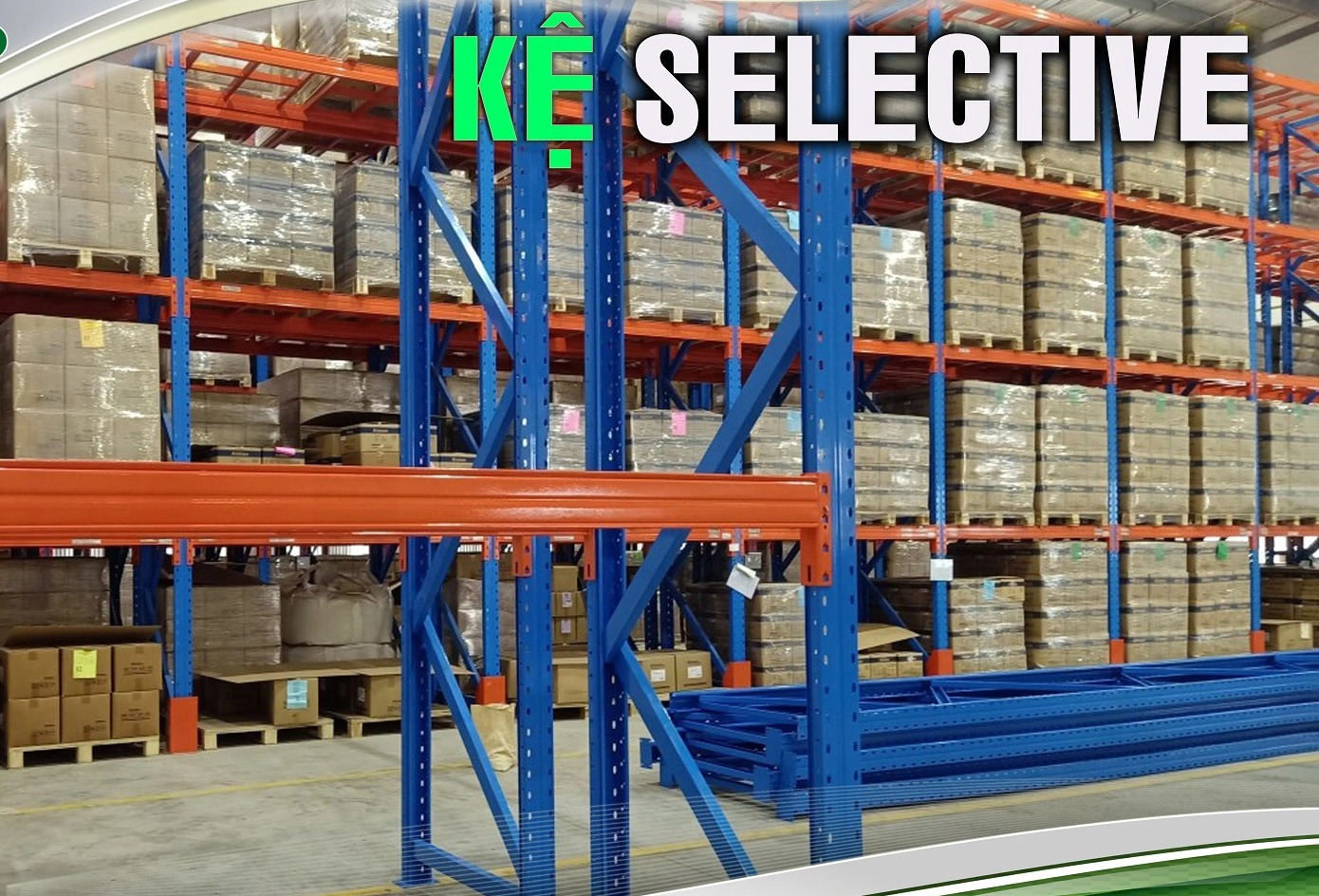Kệ chứa Pallet tại Đồng Nai | Giá cạnh tranh | Lắp đặt 24/7