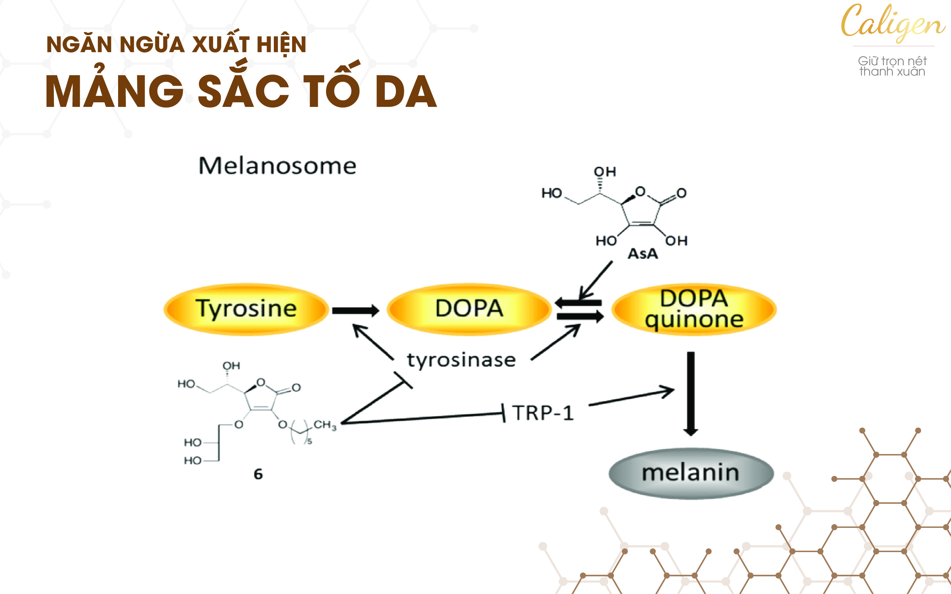 Ngăn ngừa xuất hiện mảng sắc tố da