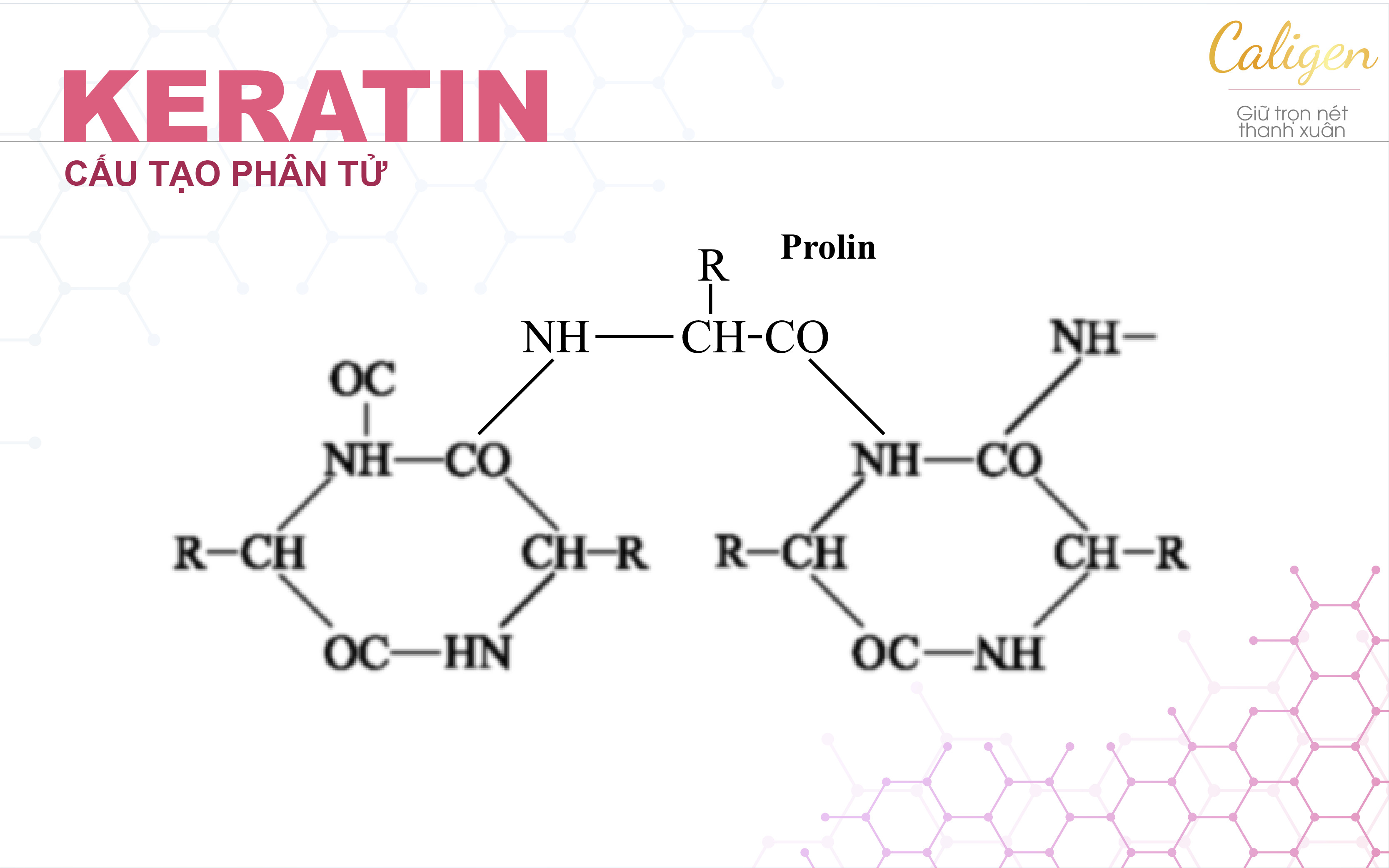 Cung cấp prolin để nuôi dưỡng tóc