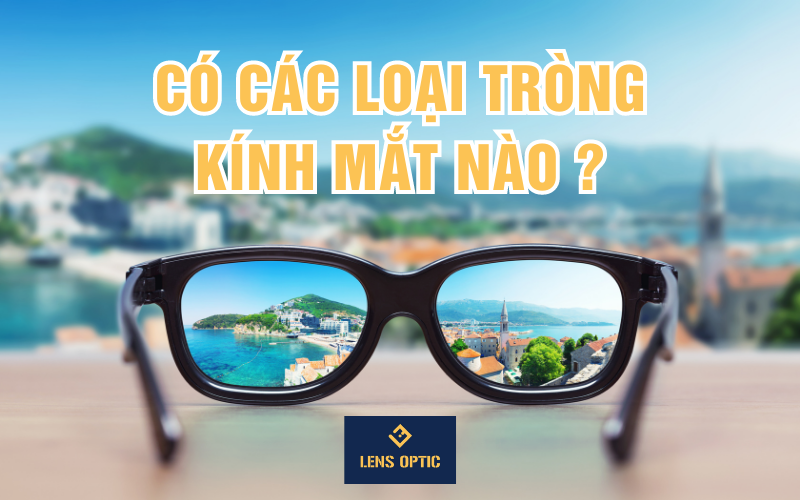 CÓ CÁC LOẠI TRÒNG KÍNH MẮT NÀO ?