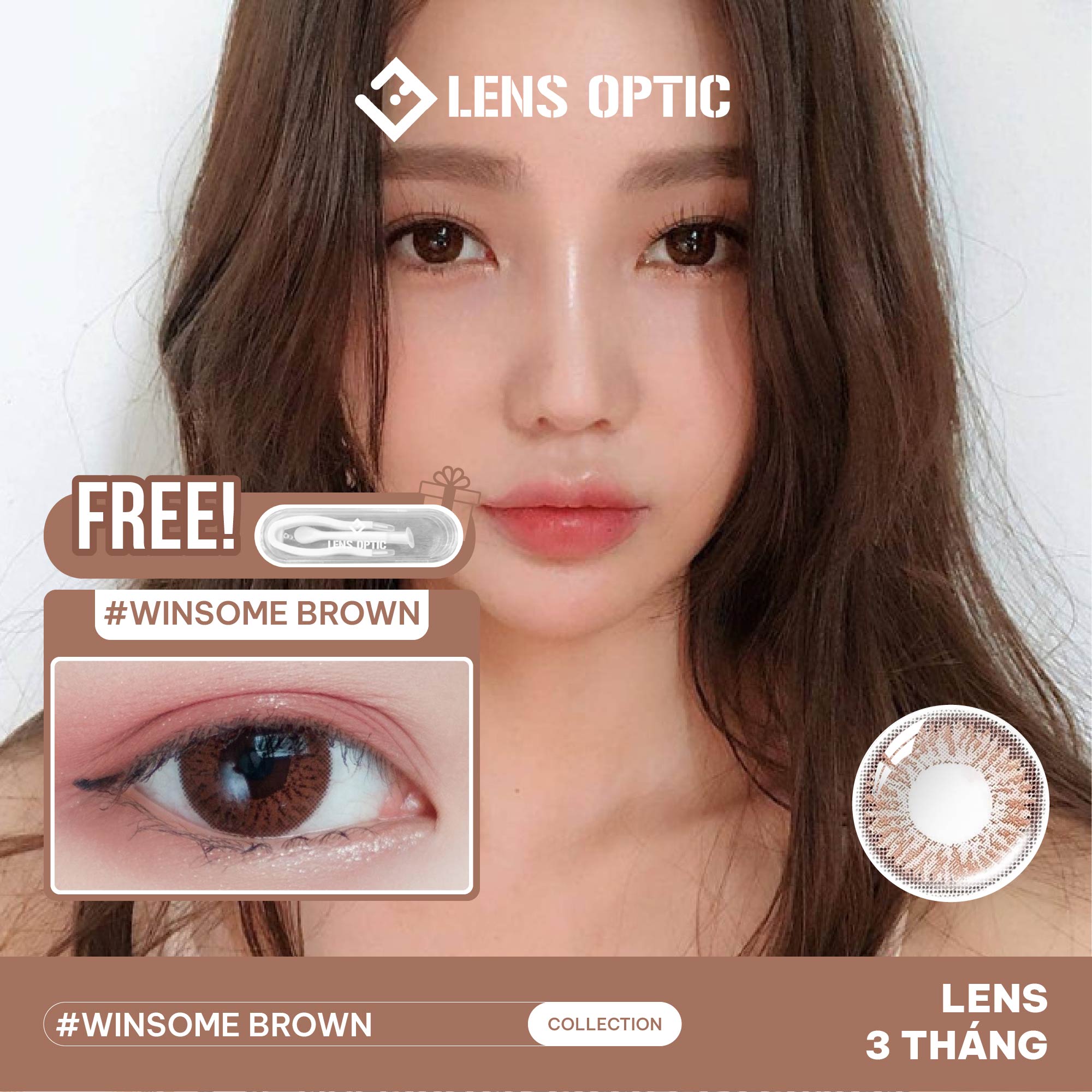 Kính áp tròng Freshkon Alluring 3 tháng màu Winsome Brown, lens nâu có độ cận