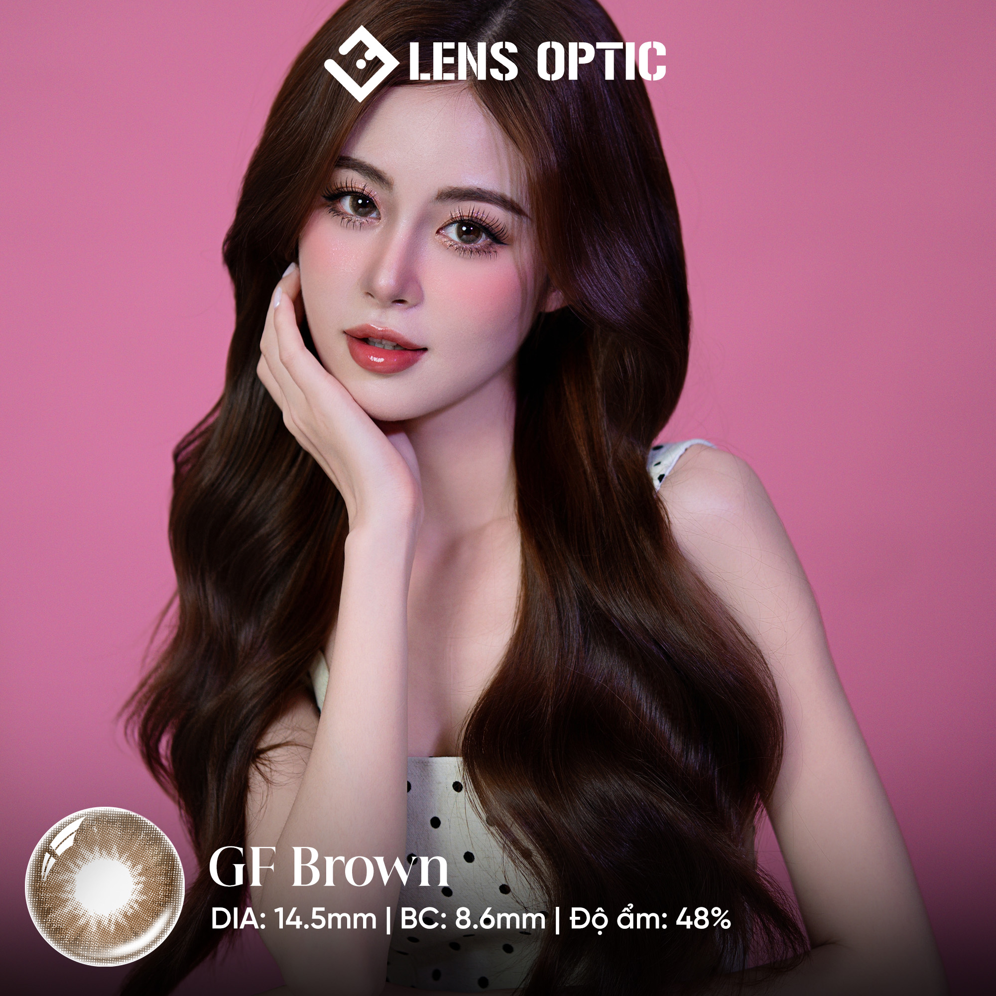 Kính áp tròng 6 tháng màu GF Brown giãn tròng 14.2mm