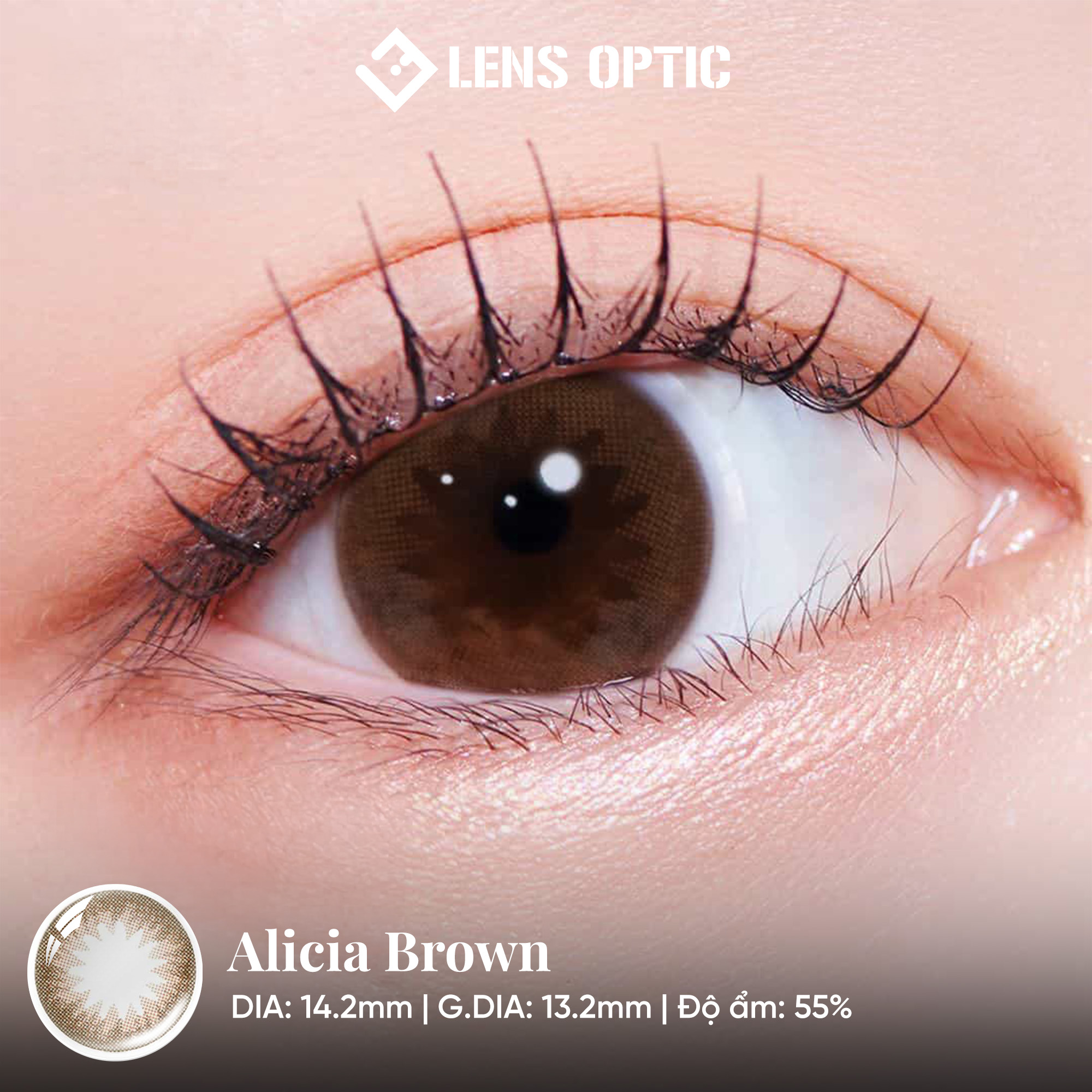 Kính Áp Tròng 1 Ngày Alicia Brown Clalen Iris – Lens Nâu Tự Nhiên Cho Mắt Cận