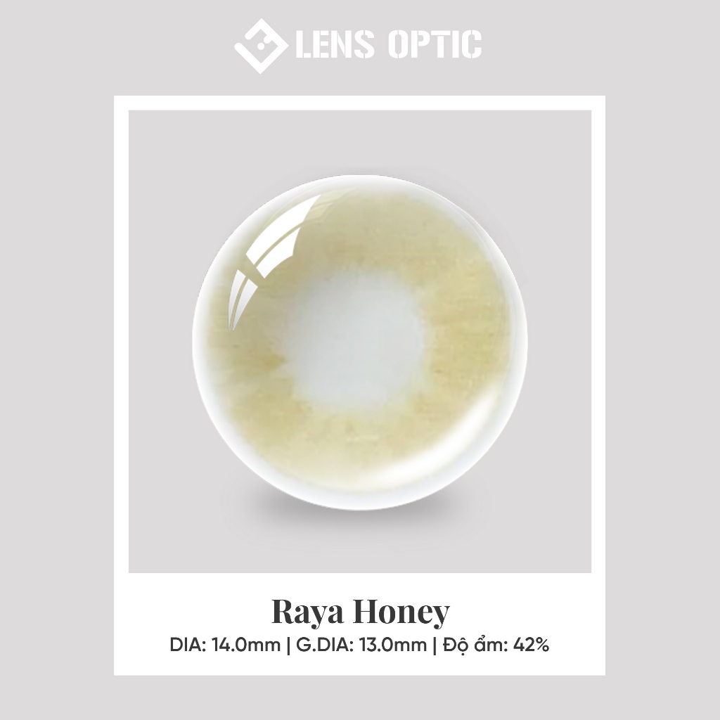 Kính Áp Tròng 1 Tháng RAYA HONEY, Lens màu mật ong tự nhiên