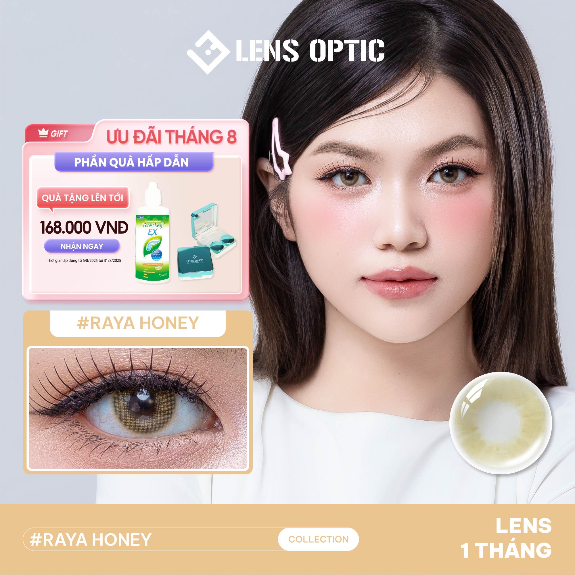 Kính Áp Tròng 1 Tháng RAYA HONEY, Lens màu mật ong tự nhiên