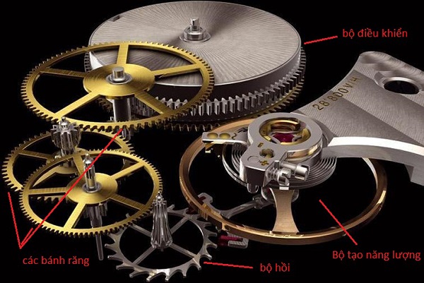 Cấu tạo bên trong của đồng hồ cơ Automatic