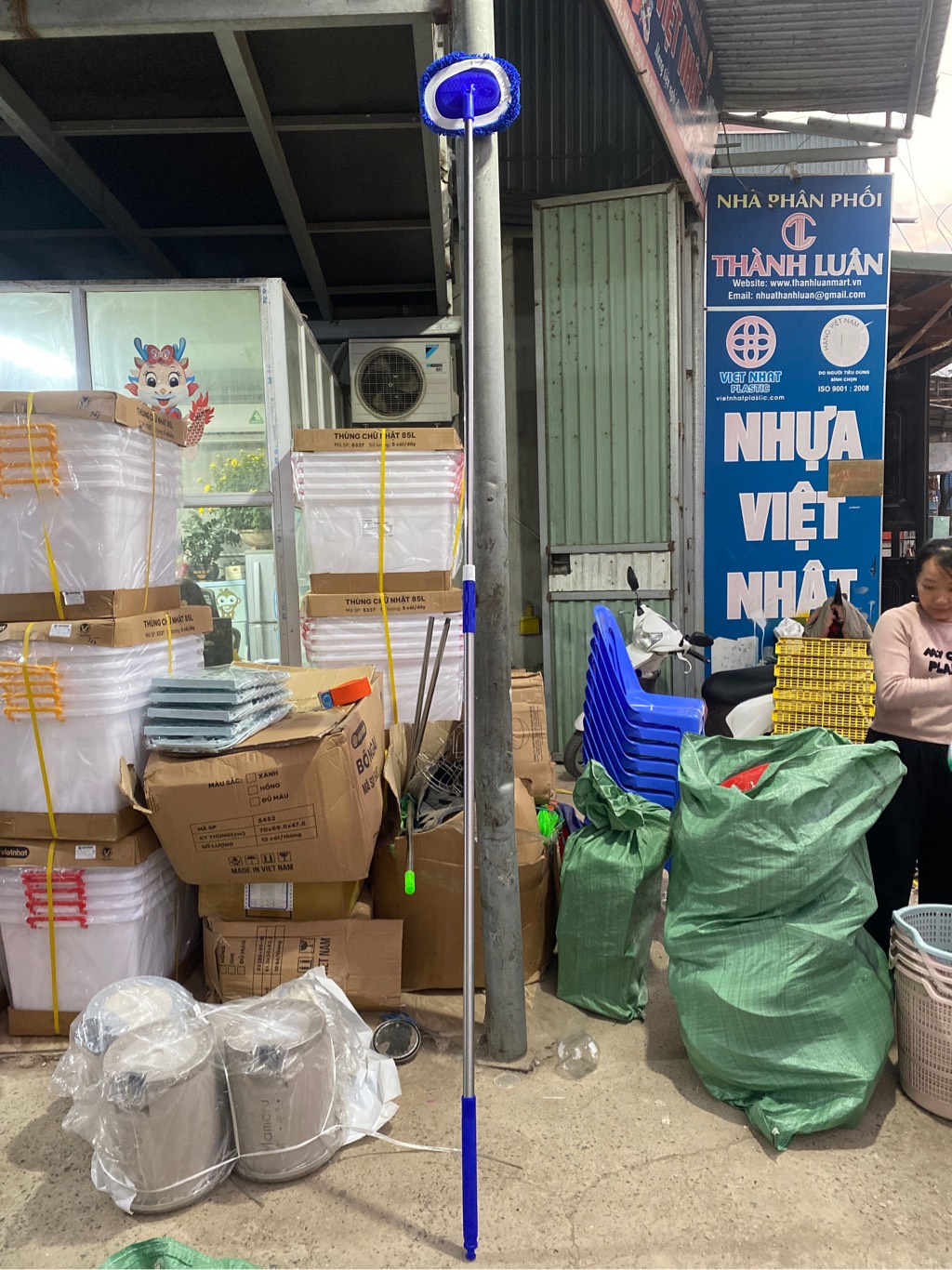 cây lau tường ovan 3m tt mới