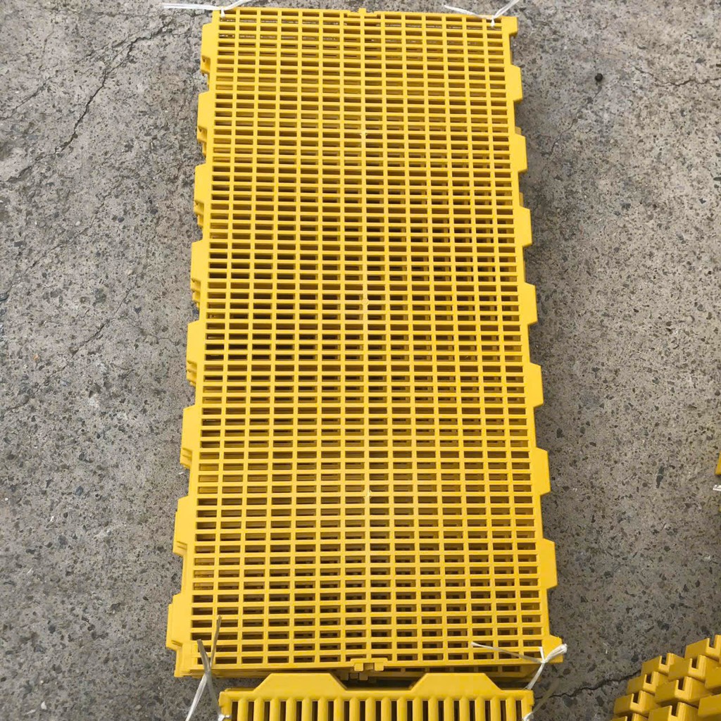 tấm lót sàn heo 100x50 vàng