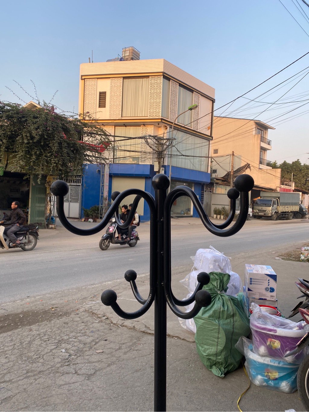cây thông tĩnh điện đẹp quả đen