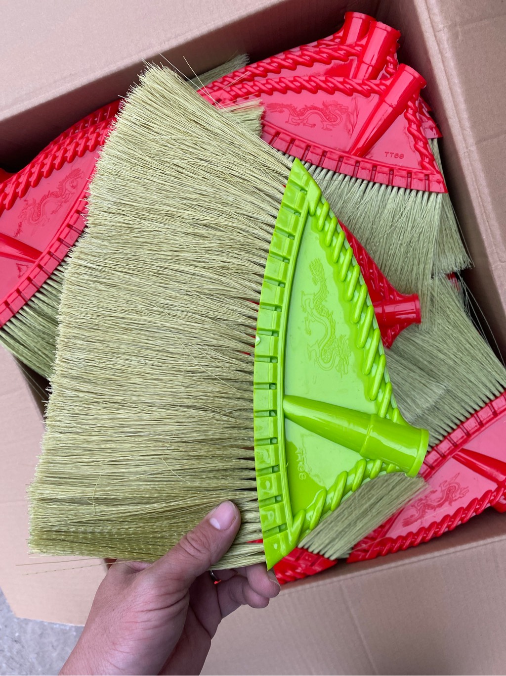 chổi chít rồng TT