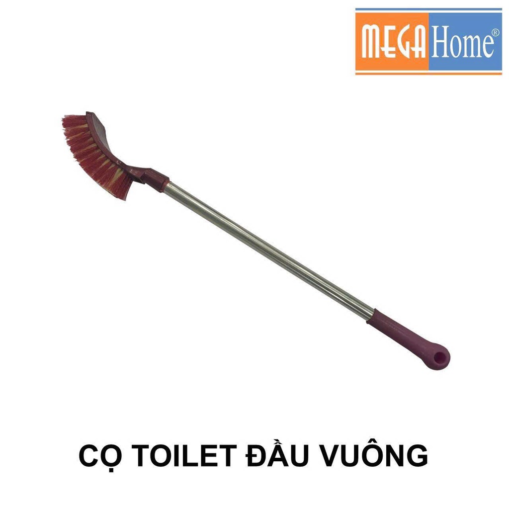 cọ cong megahome