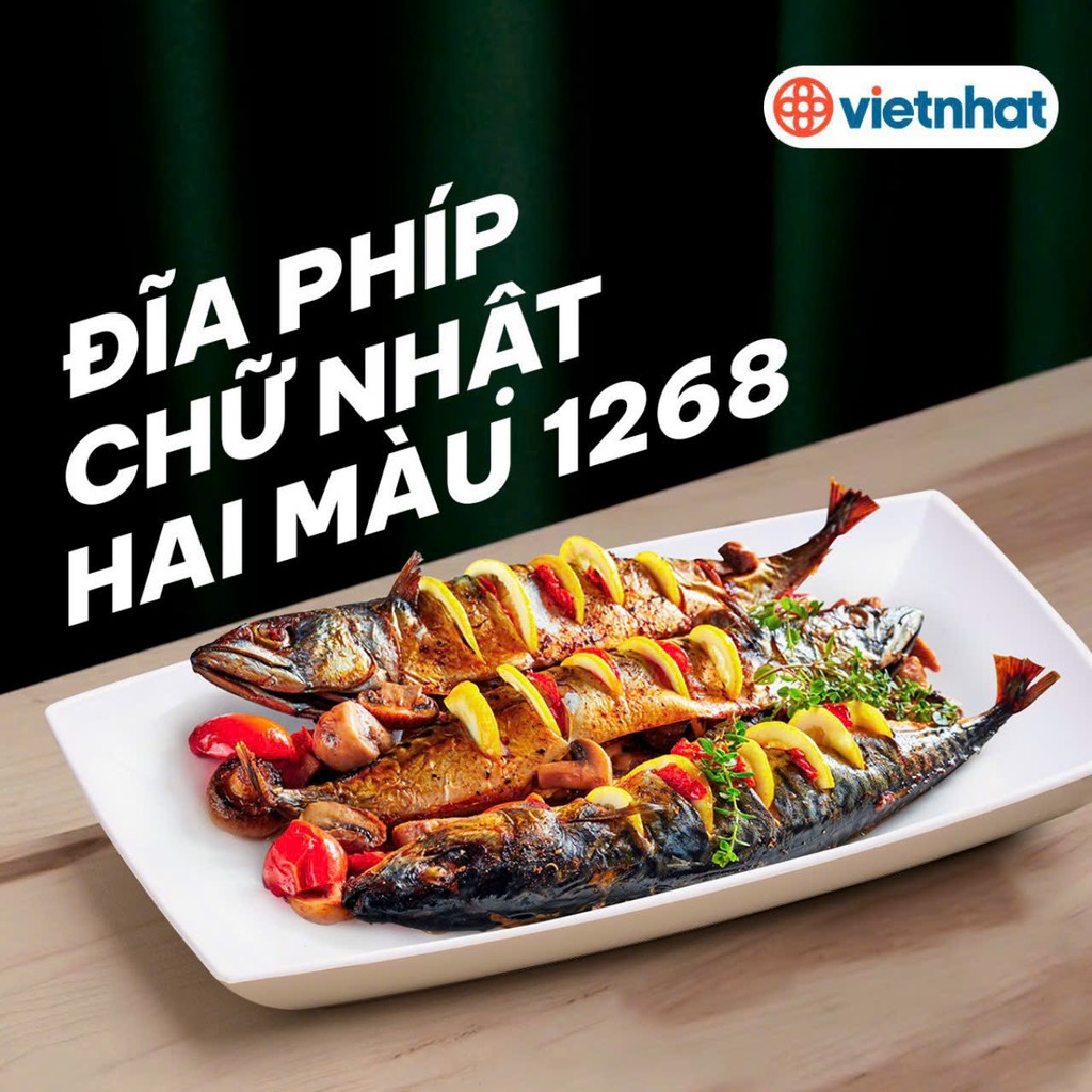 ĐĨA PHÍP CHỮ NHẬT HAI MÀU 1268