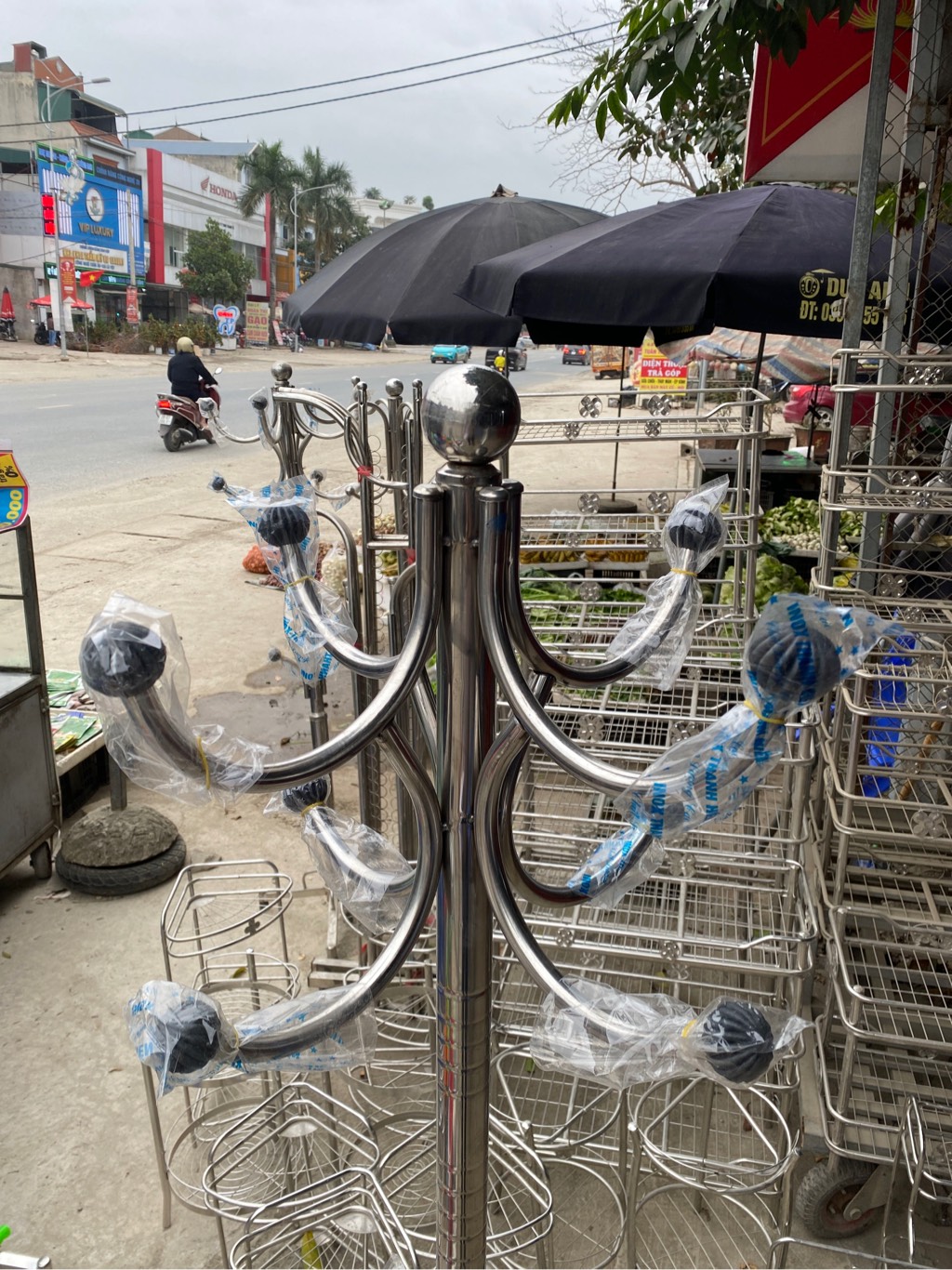 TL cây thông đẹp quả đen