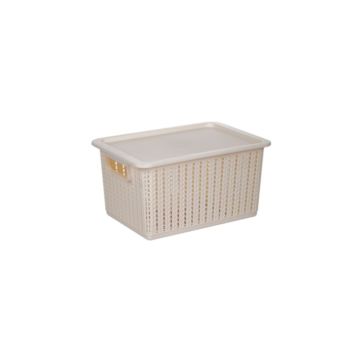 RỔ ĐAN NẮP GLCC 9047
