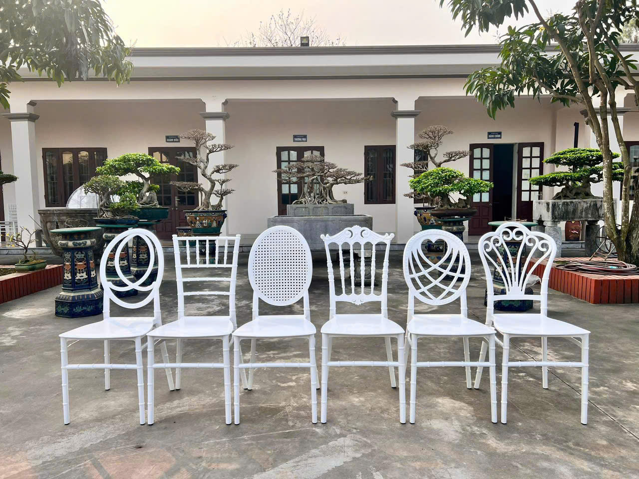 Ghế Tựa Đại Vương Miện – Sang Trọng, Bền Bỉ, Sàn Dụng Cho Mọi Không Gian dành cho nhà hàng khách sạn sự kiện