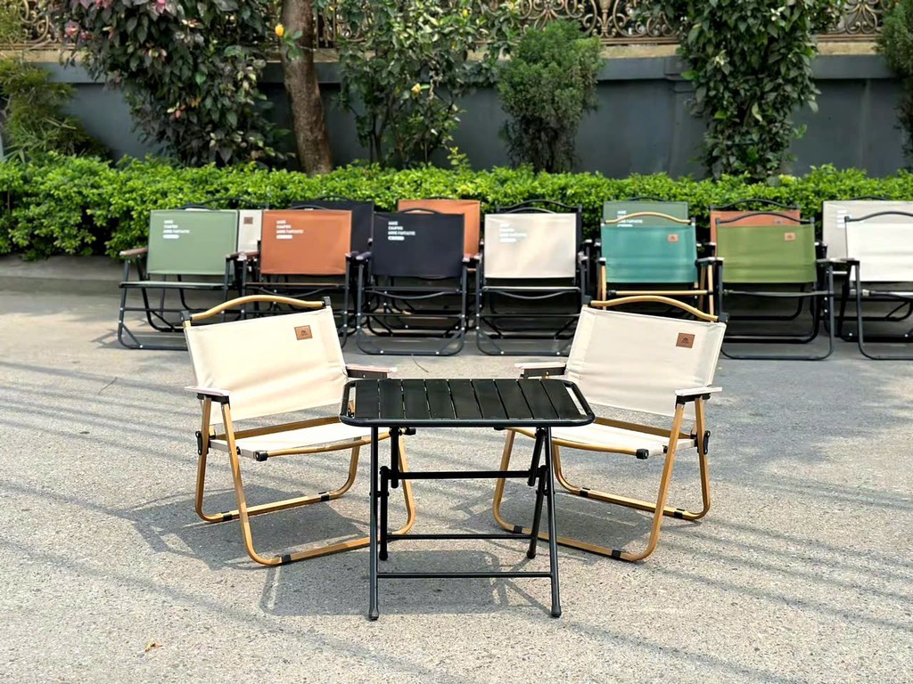 Bàn nan gấp tĩnh điện đen TL