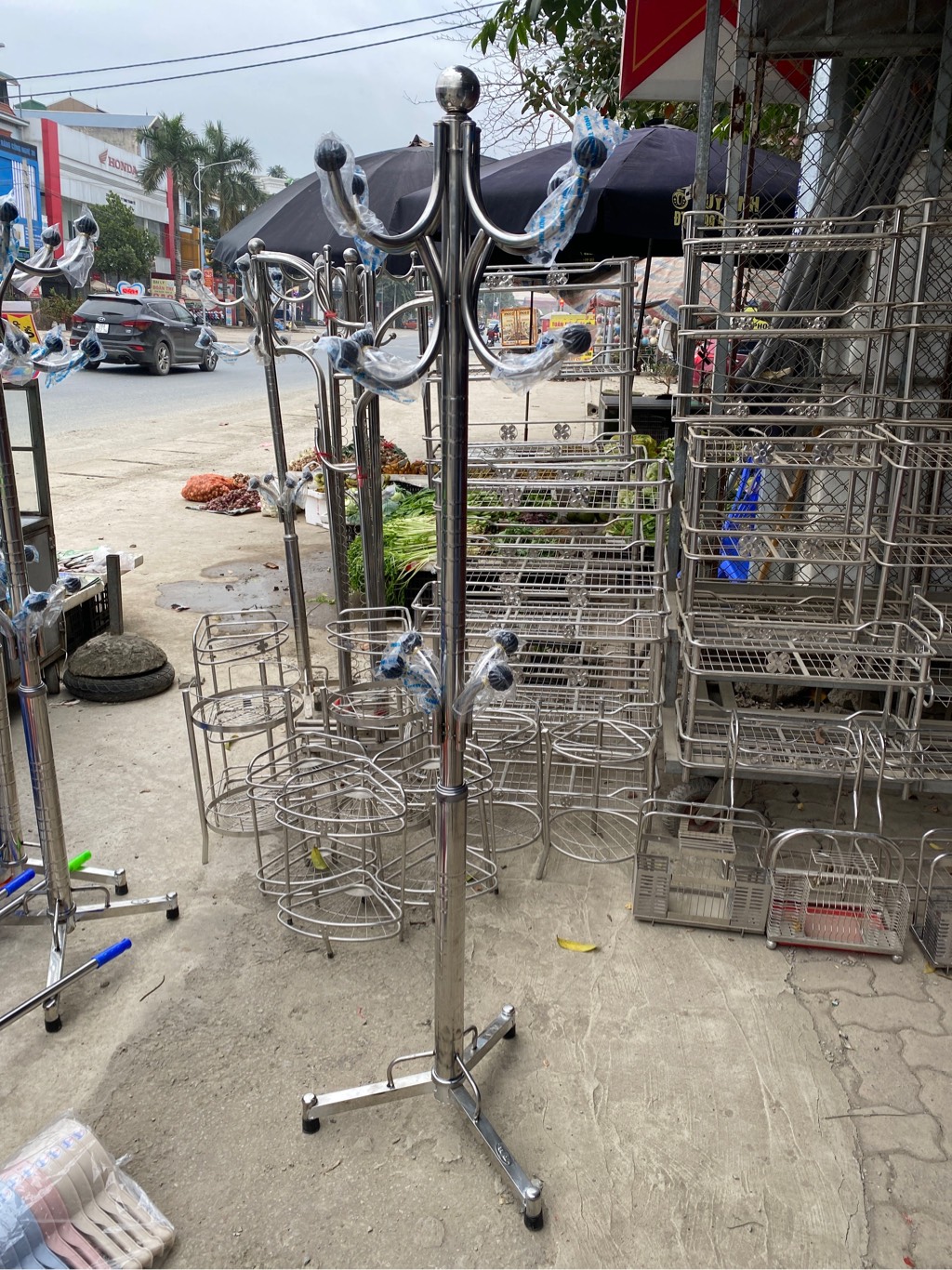 TL cây thông đẹp quả đen