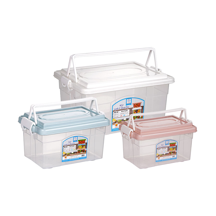 HỘP LẠNH 2 QUAI BÉ 6521-1