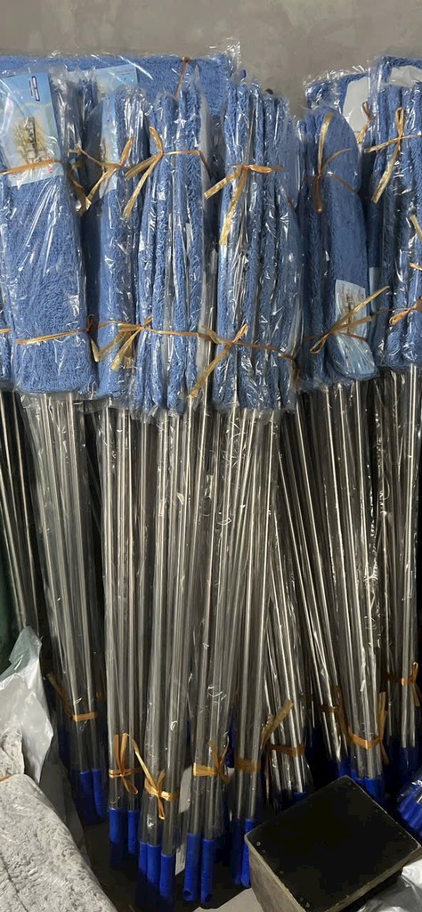 lau san hô xanh PL 60 cm