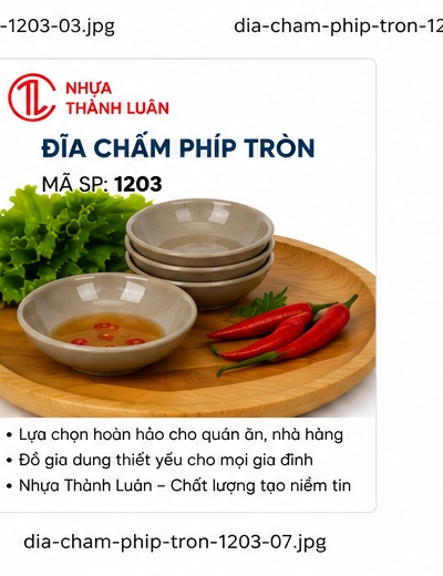 ĐĨA CHẤM PHÍP TRÒN 1203