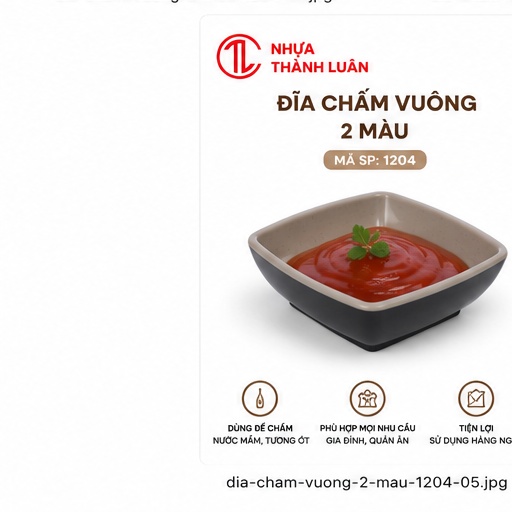 ĐĨA CHẤM VUÔNG 2 MÀU 1204