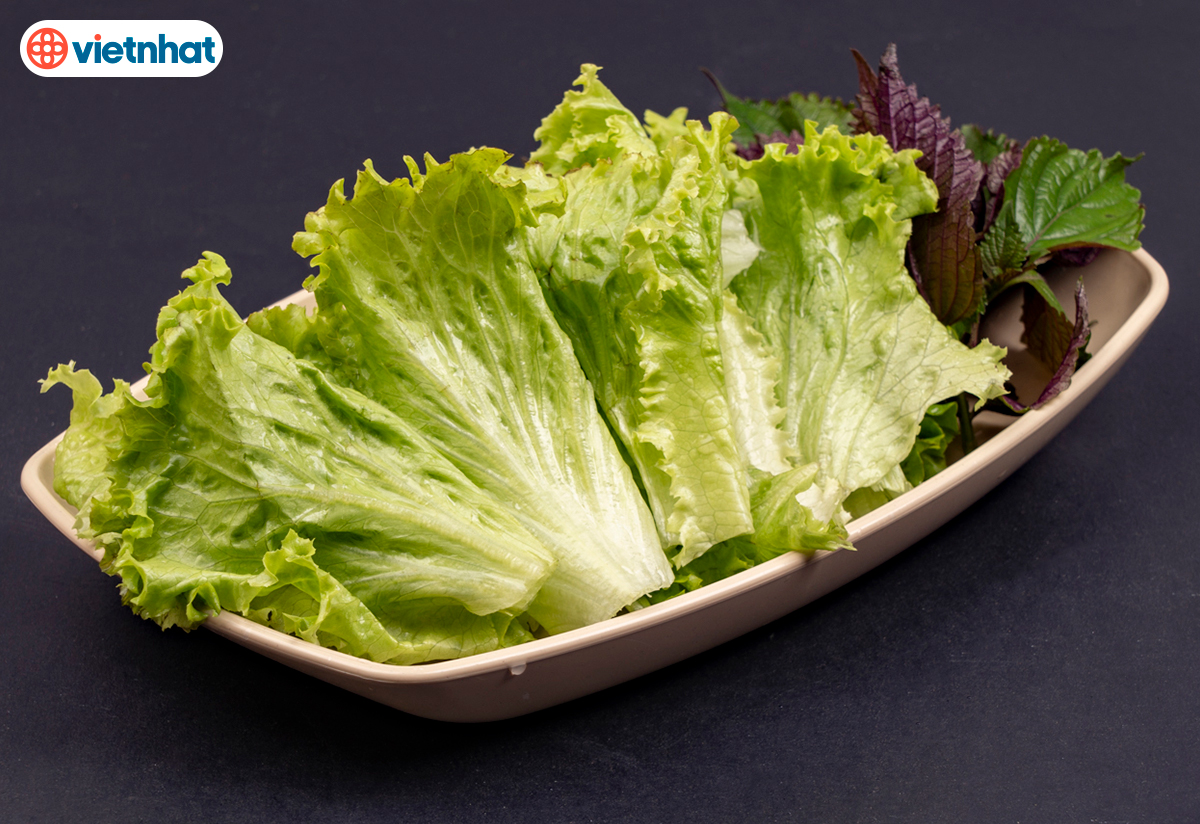 ĐĨA PHÍP THUYỀN 1285