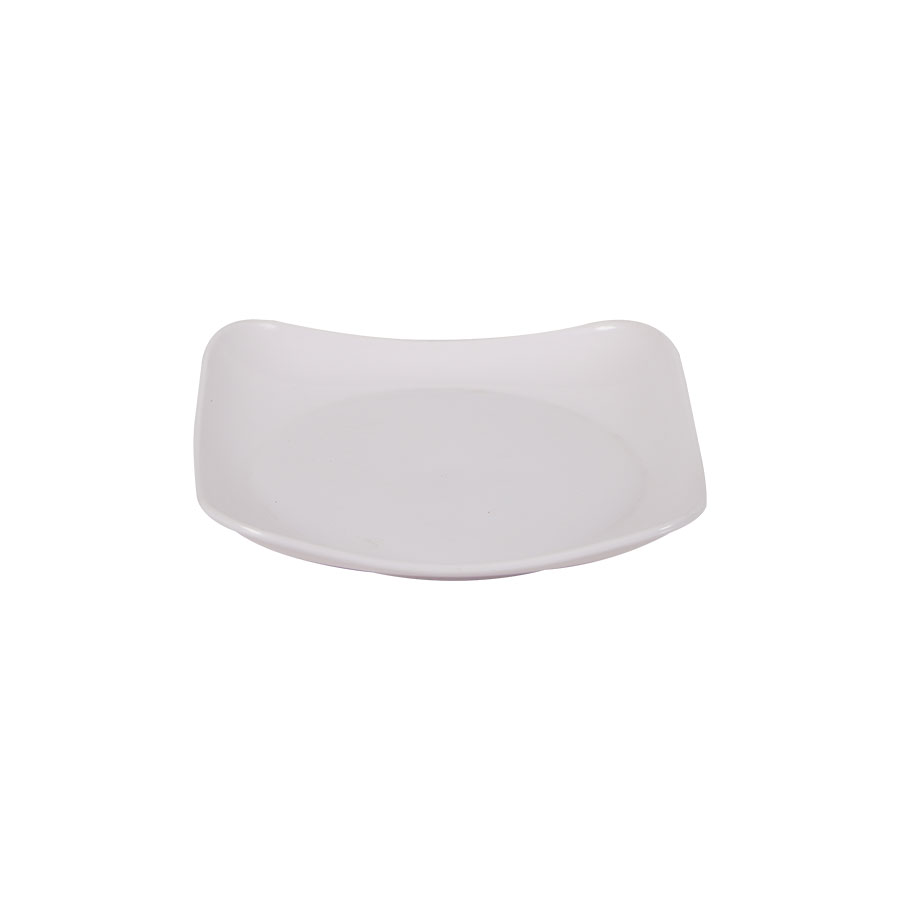 ĐĨA PHÍP VUÔNG 1213-2